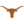 Texas Longhorns (Femmes)