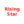 Rising Stars