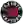 Toronto Raptors (STING)
