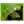 Skegrie BK