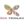 ZKK Triglav Kranj (Women)
