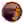 Bò tót Chontales