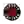 Toronto Raptors (OREZ)