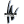 SpVgg Weiden