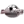 УА де Чіхуахуа
