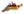 Спин Гар Базан
