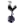 Tottenham Hotspur (CRUSADER)