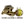 Чжэцзян Лайонс II