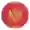 Чорногорія (Жінки)
