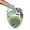 Фатік