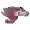 Санта-Клара Бронкос