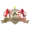 Нтугасазе