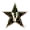 Vanderbilt Commodores (Women)