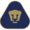 УНАМ Пумас