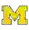 Мічиган Вольверінс