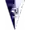 СВ Лудеш