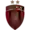УСМ Алжир