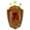 Аудас