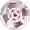 Комарно (жен)