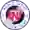 Норт Техас