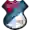 	FK Torlak