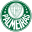 Sociedade Esportiva de Palmeiras