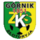 Gornik Zlotoryya U17