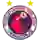 Veracruz