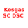 Kozgaz SC DSC (Women)