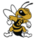 West Virginia State Yellow Jackets