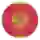 Montenegro
