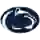 Penn State Altoona Lions