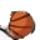 Universidad de Educación Física y Deportes