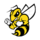 Randolph Macon Yellow Jackets