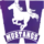 Вестерн Мустангс
