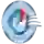 AlbinoLeffe