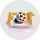 FS Trebic