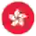 Hồng Kông