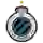 Club Brugge (Nữ)