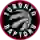 Toronto Raptors (cyber)