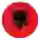 Albania