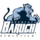 Baruch Bearcats