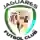Jaguares de Córdoba
