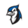 Elizabethtown Blue Jays