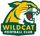 Đội bóng Wildcats Bắc Michigan (Nữ)