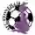AFC Stoneham Ladies