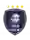 Đội Helm
