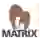 NS Matrix