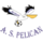 AS Pelican