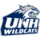 Đội bóng nữ New Hampshire Wildcats